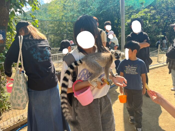 🐧白鳥動物園にいきました🦁