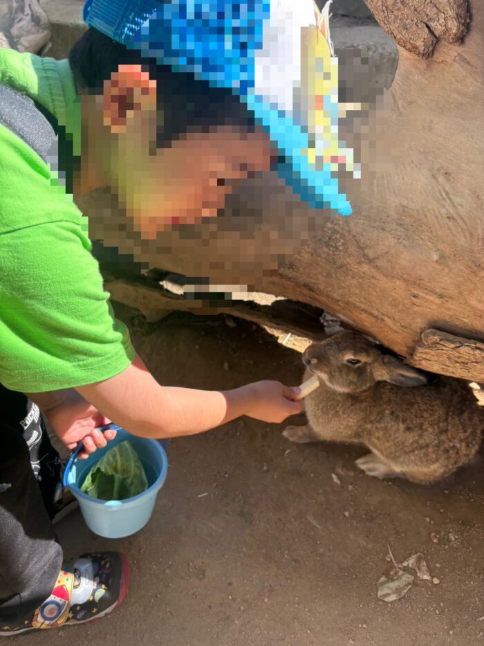 しろとり動物園へ遠足に行ったよ🐘🐈